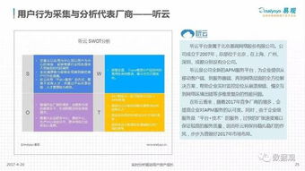 中國數(shù)據(jù)即服務(wù)（DaaS）市場(chǎng)深度解析 數(shù)據(jù)處理服務(wù)的崛起與未來