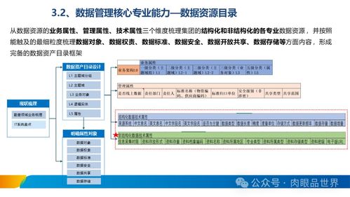 XX集團數(shù)據(jù)治理體系建設(shè)方案與數(shù)據(jù)處理服務(wù)規(guī)劃