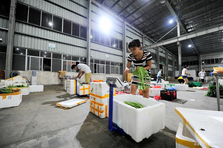 西安蔬菜配送時間如何確定？蔬菜公司與基地食材采購的運作邏輯