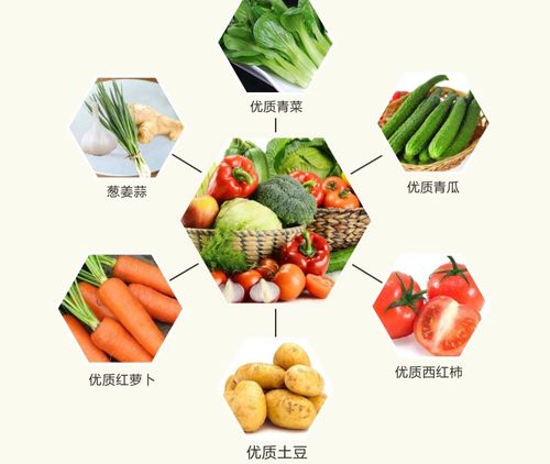 老西關食材產品系列 一站式采購，重溫地道廣府味